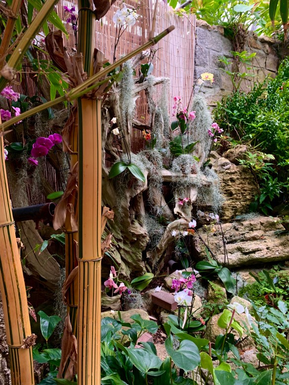 4EF1009F-9A75-4ED9-B865-F16D3D8041A8_1_201_a