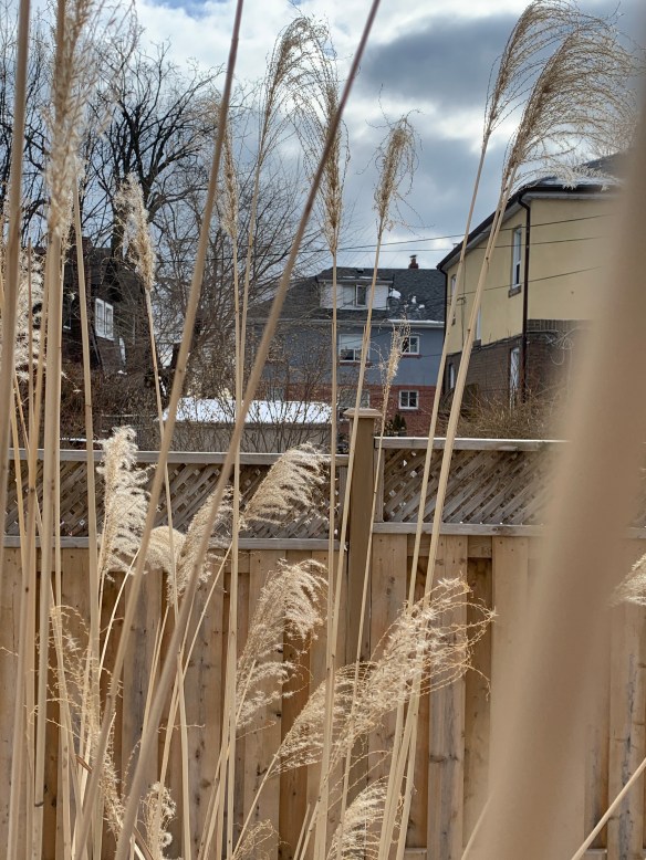 57B964E1-90EF-4904-A530-B87F3F352912