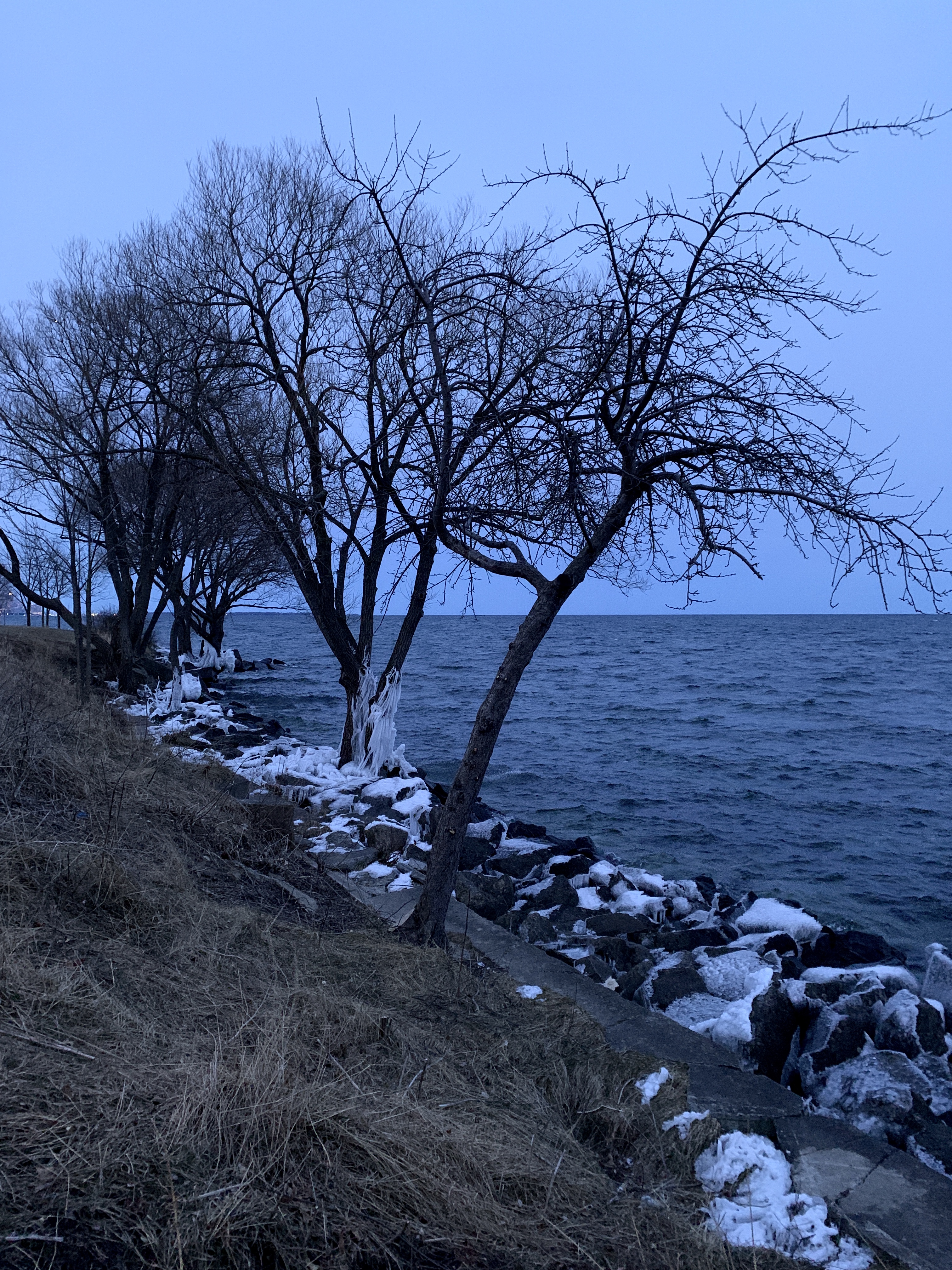 5CF7113B-9F92-4FF7-B15E-559BBB3A3711_1_201_a