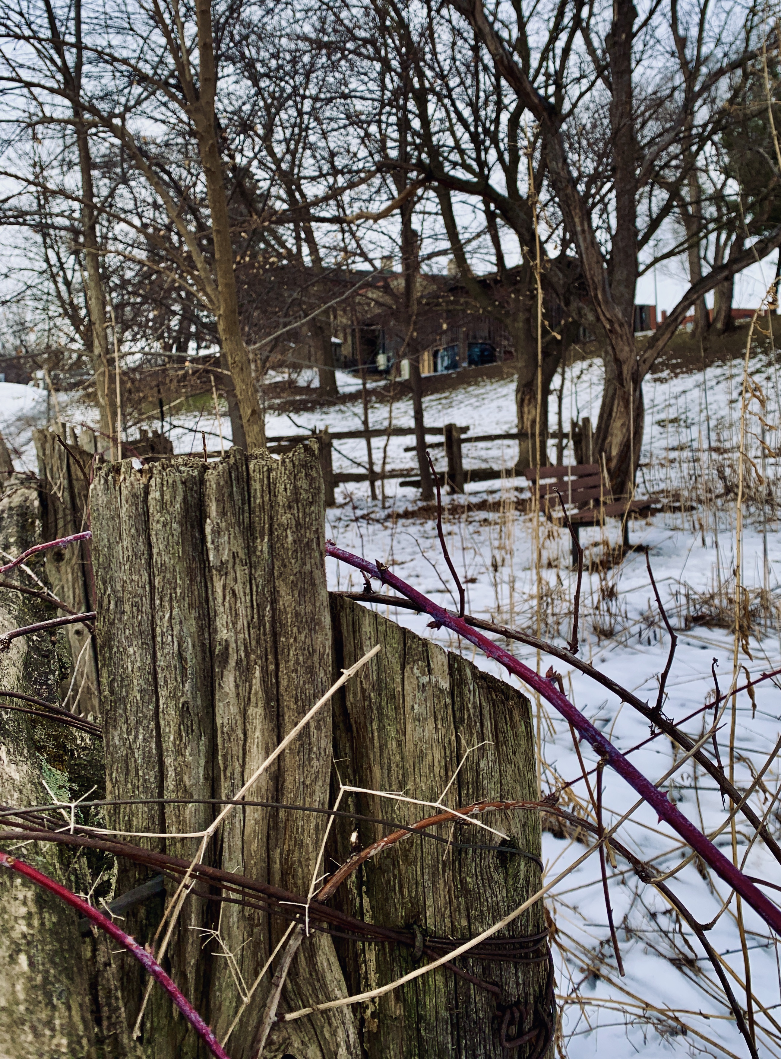 60221FD6-BF5C-499E-B179-5C0911F96718_1_201_a