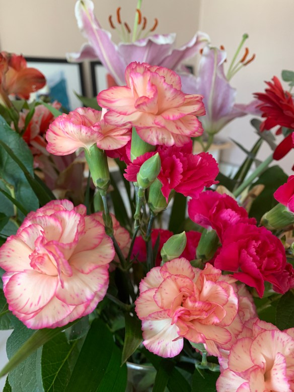 60D7F22C-9498-4D43-9567-1CD1F78D9D92