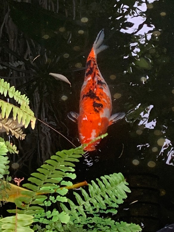 6DF46CEC-4EAD-4567-BF7D-91C93364CFC1