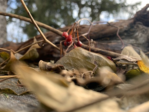 6EC57993-3CD2-4B96-BE9C-97E78F61D22B