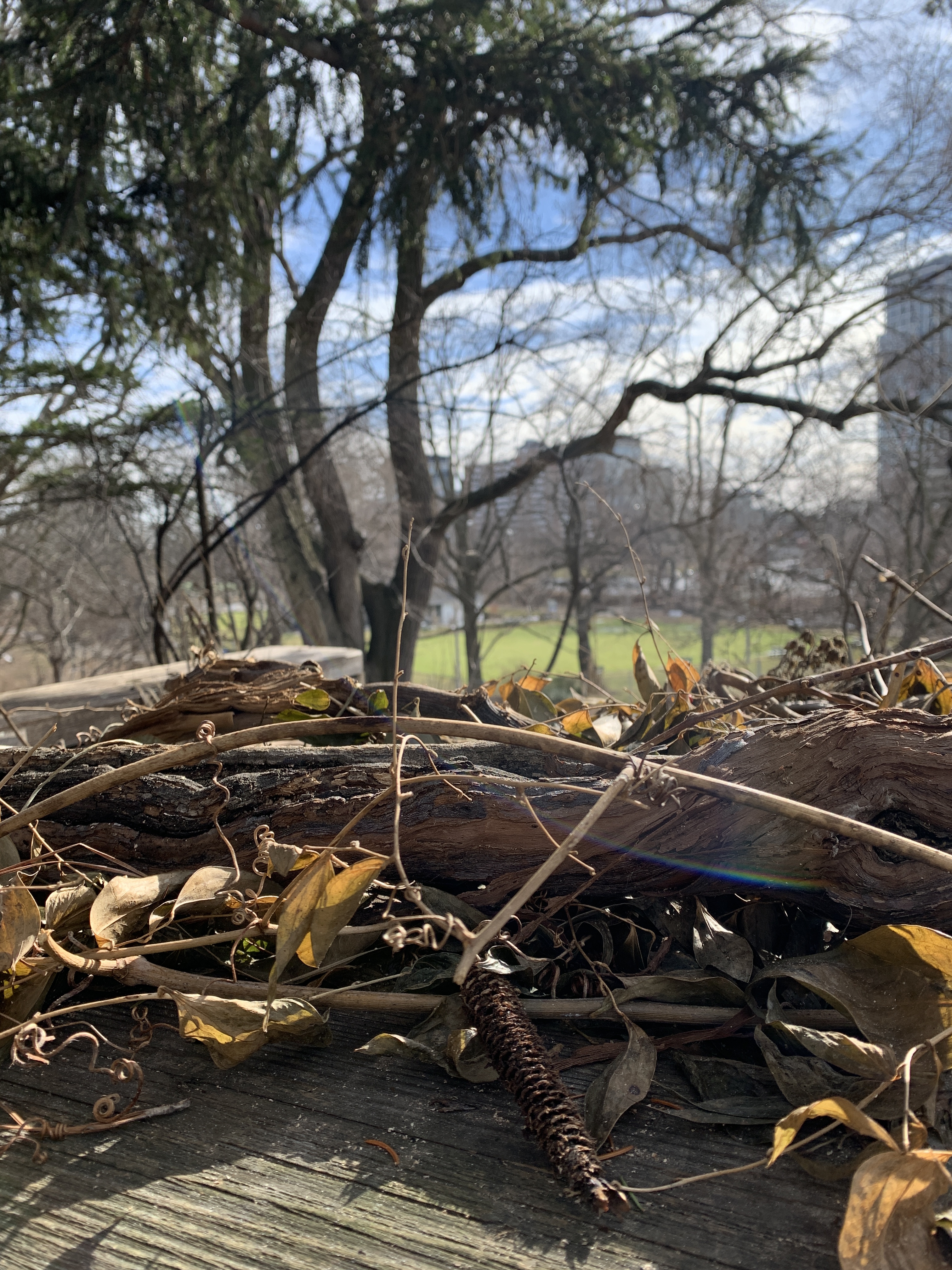 6F5D6E03-DD58-4DFA-8819-298D77477F11