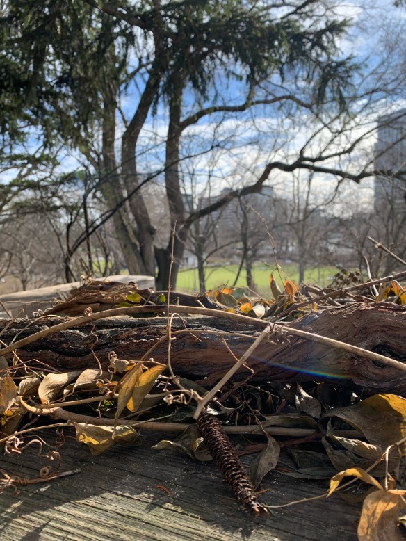 6F5D6E03-DD58-4DFA-8819-298D77477F11