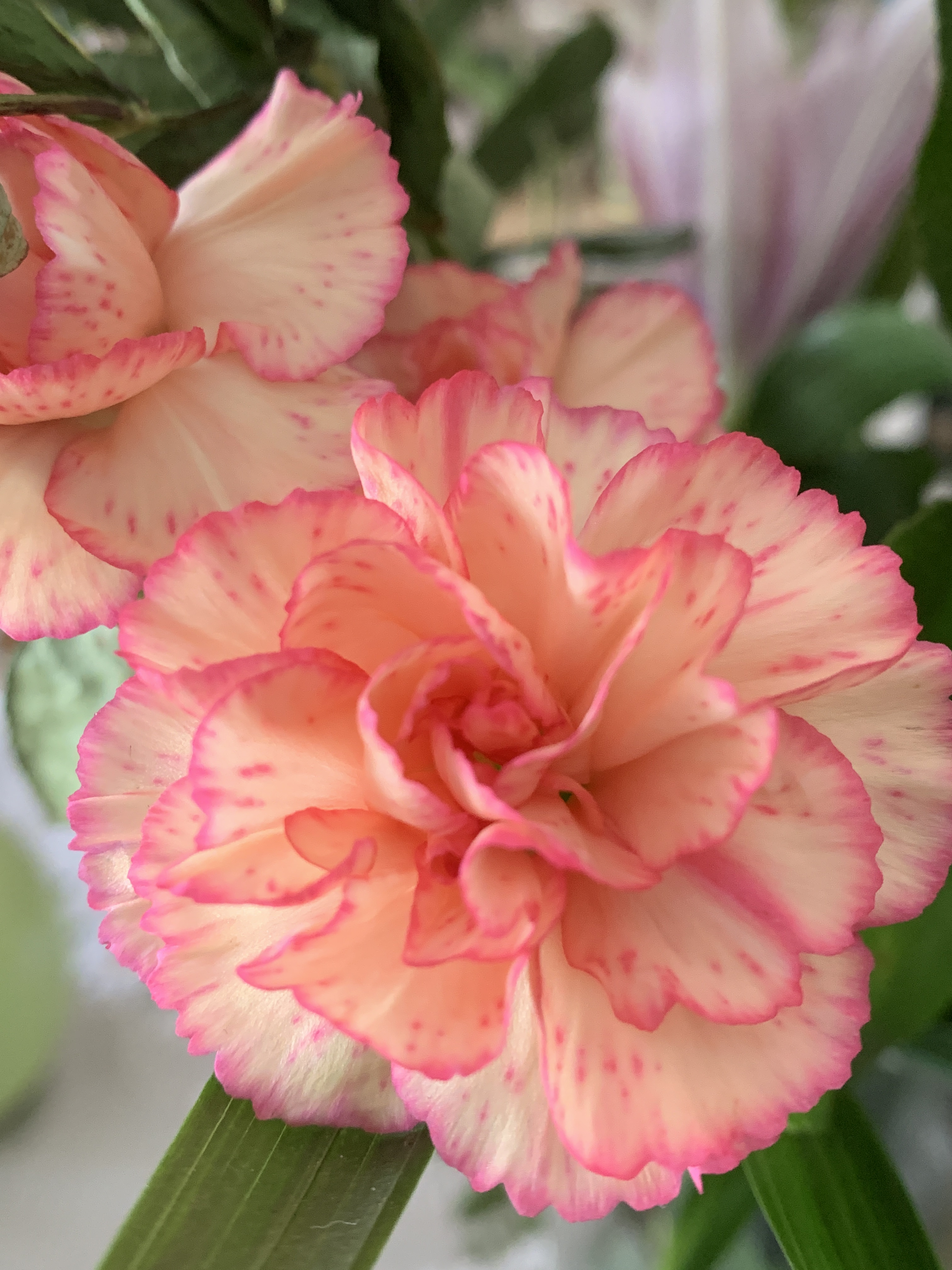 759B0544-AB40-4C28-9921-95C321778DF2