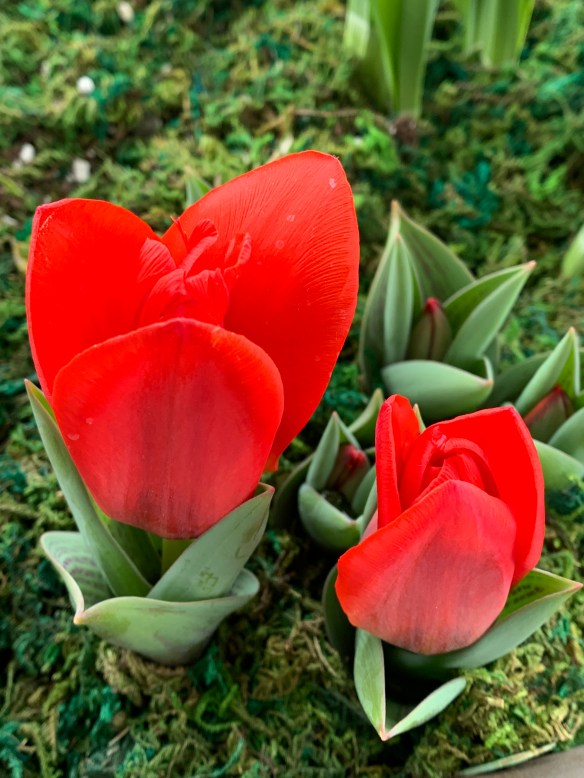 88E9C3F2-7DCF-452C-994C-F0C543BB30D6