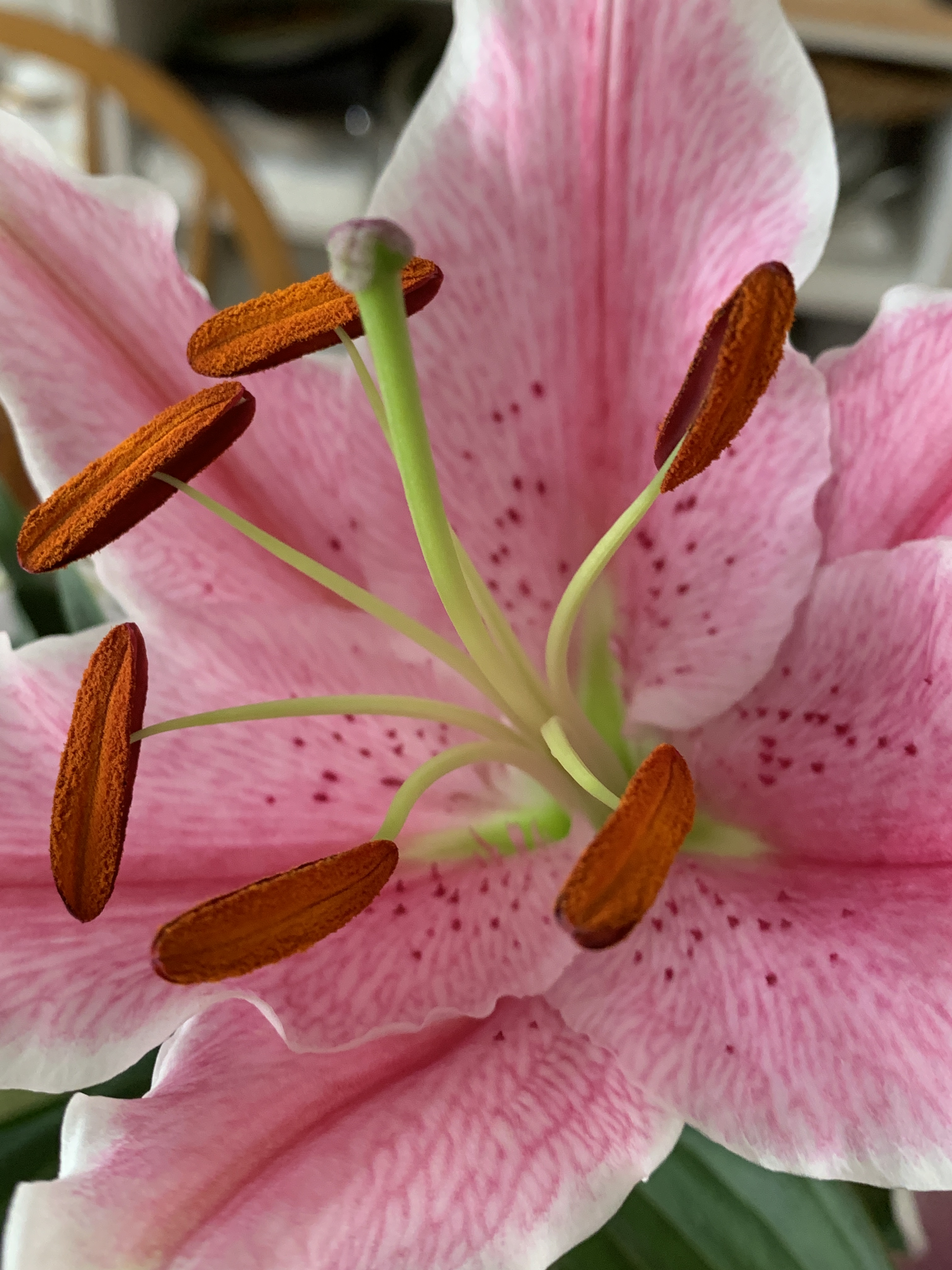 9645AE7D-8D10-413E-853F-7A25366B271D