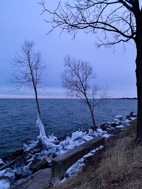 A4B8D37B-A087-417E-AA95-D0BD9D49405F_1_201_a