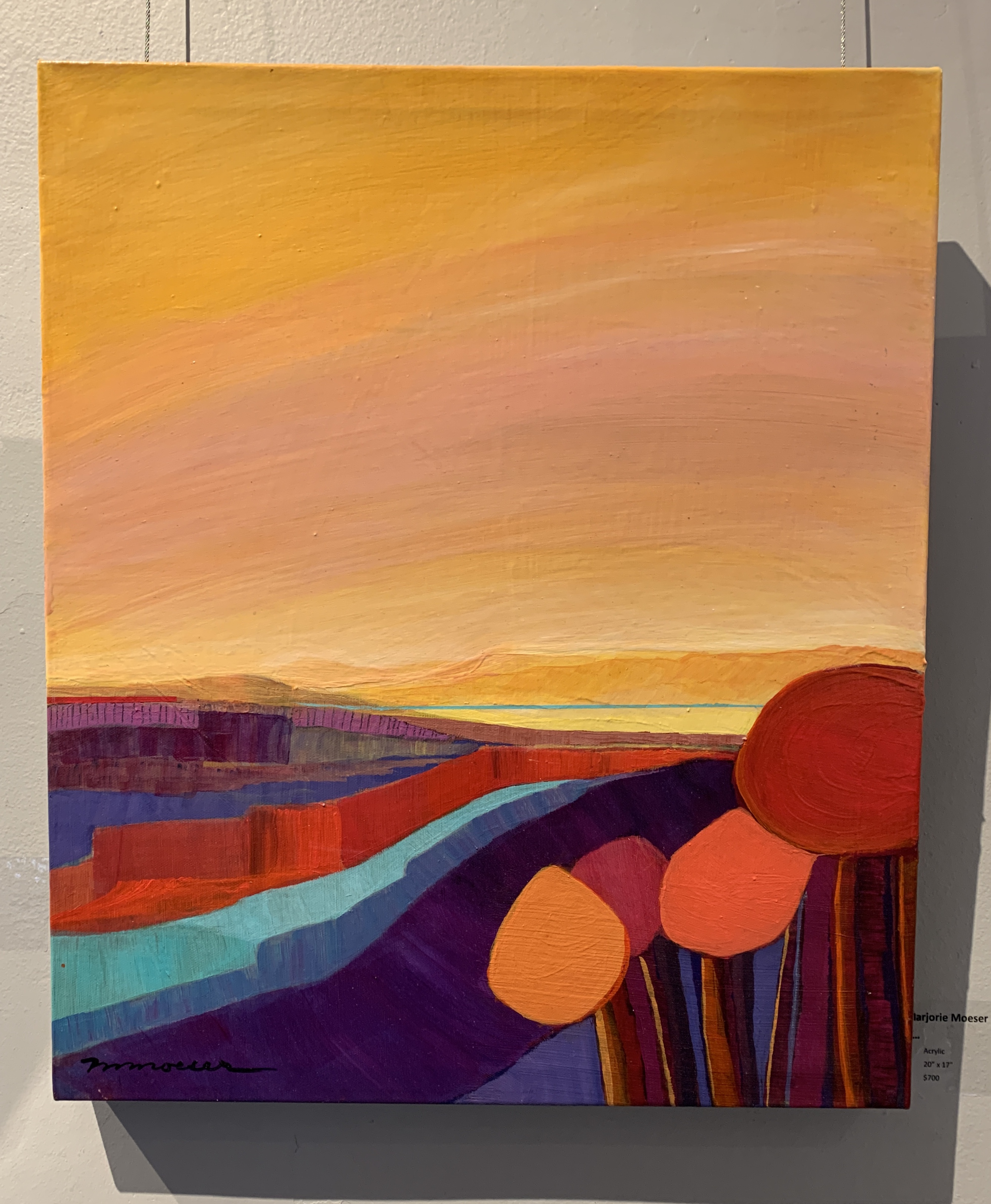 B3ABC133-A488-4230-895F-E5936B98E270_1_201_a