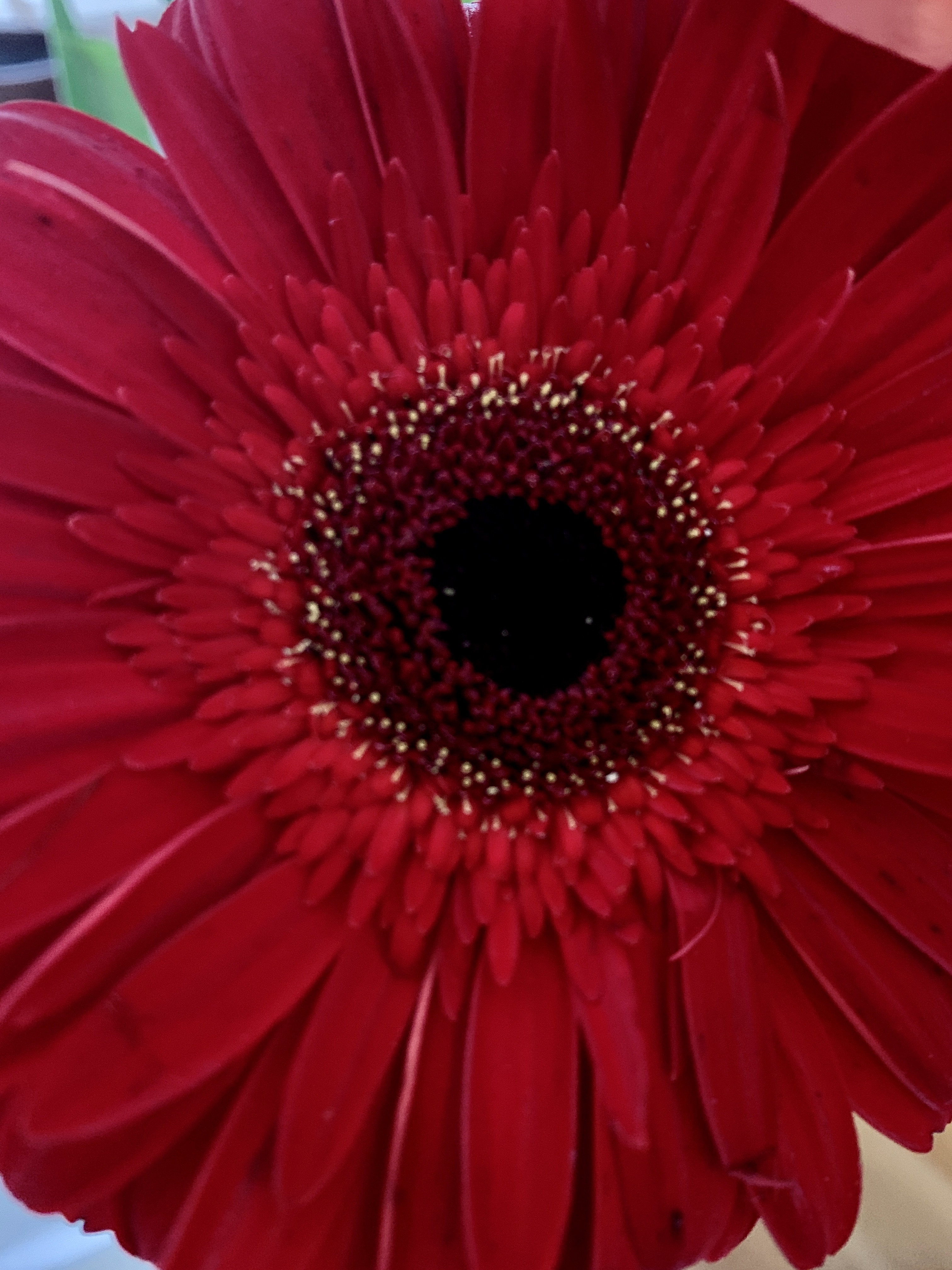 BAA48A93-BF20-498D-A9FC-099A2CE74AD4_1_201_a