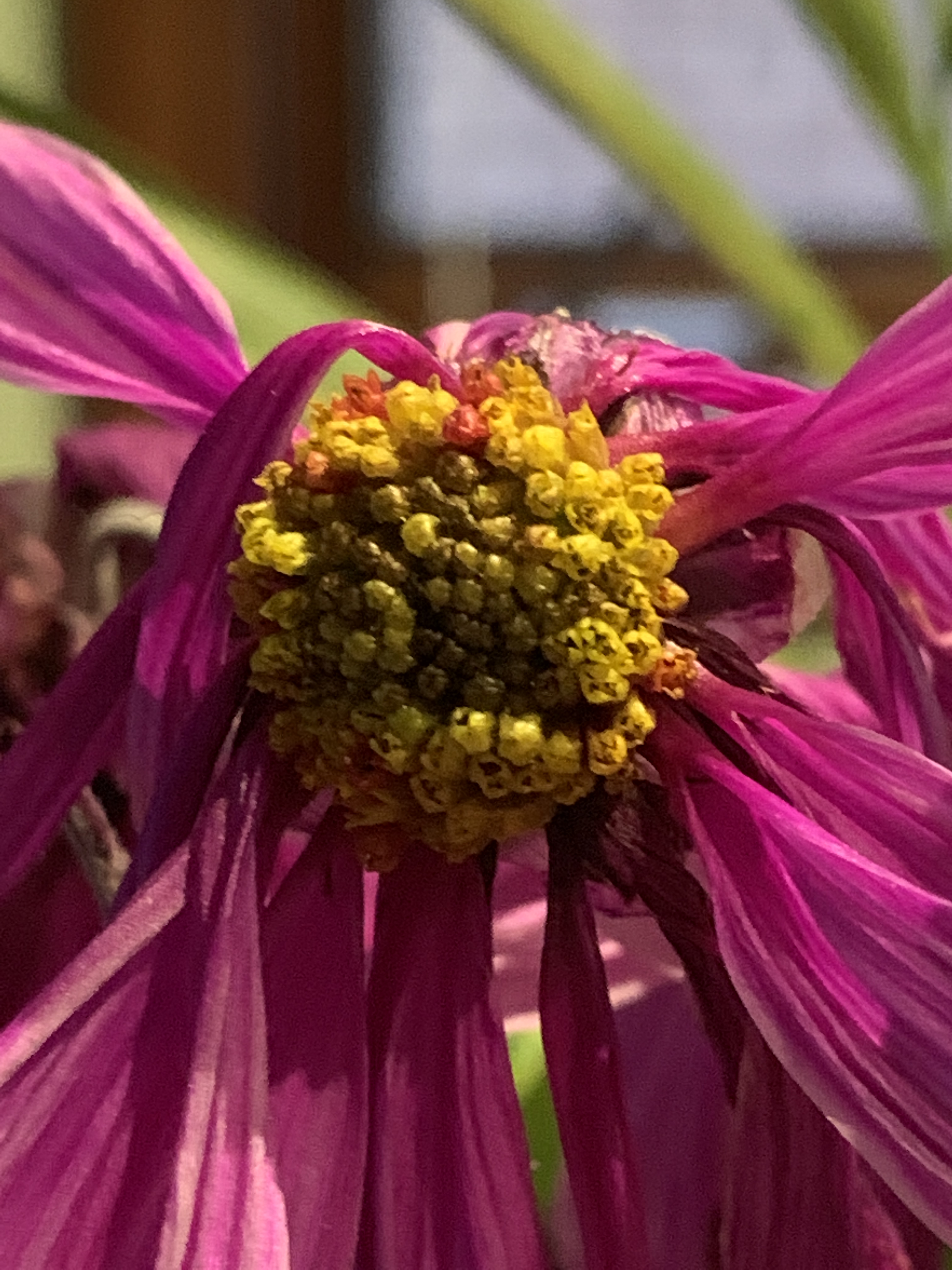 C2CF501A-120D-4CD6-B7B8-4844861A96FD