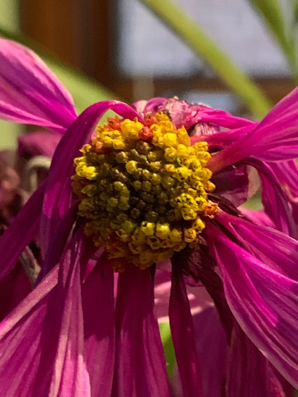 C2CF501A-120D-4CD6-B7B8-4844861A96FD