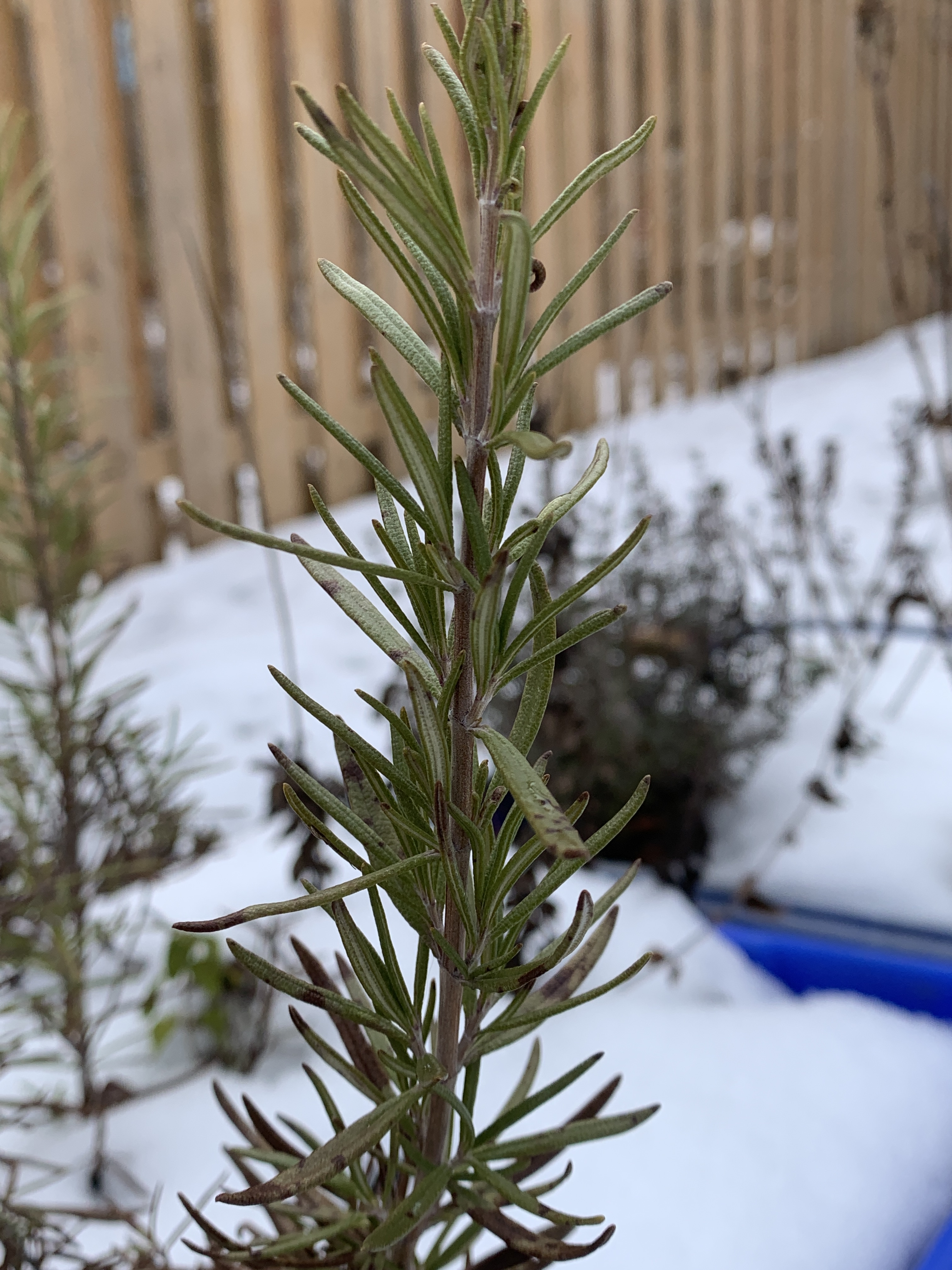 C6FD7B9A-BB6A-462E-9758-6796AB3DA6E0