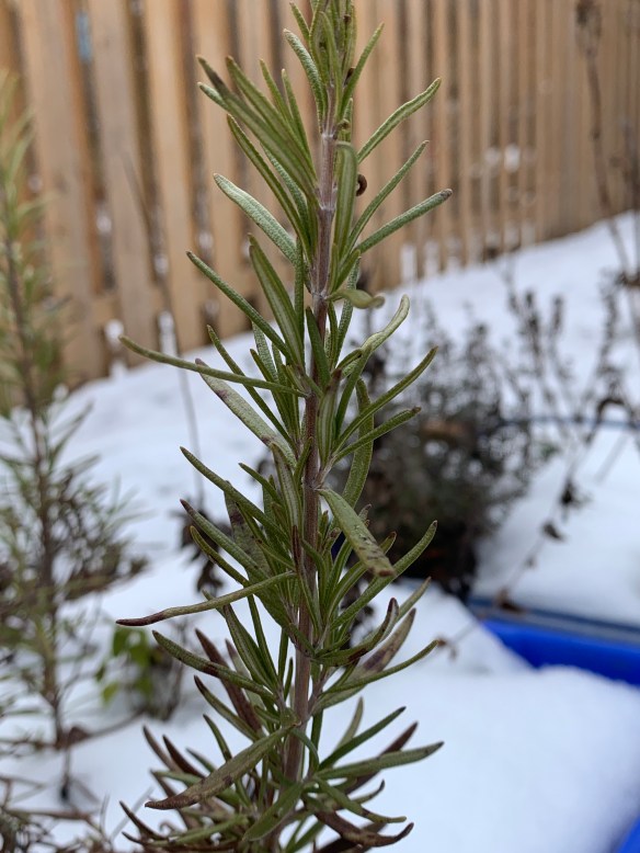 C6FD7B9A-BB6A-462E-9758-6796AB3DA6E0