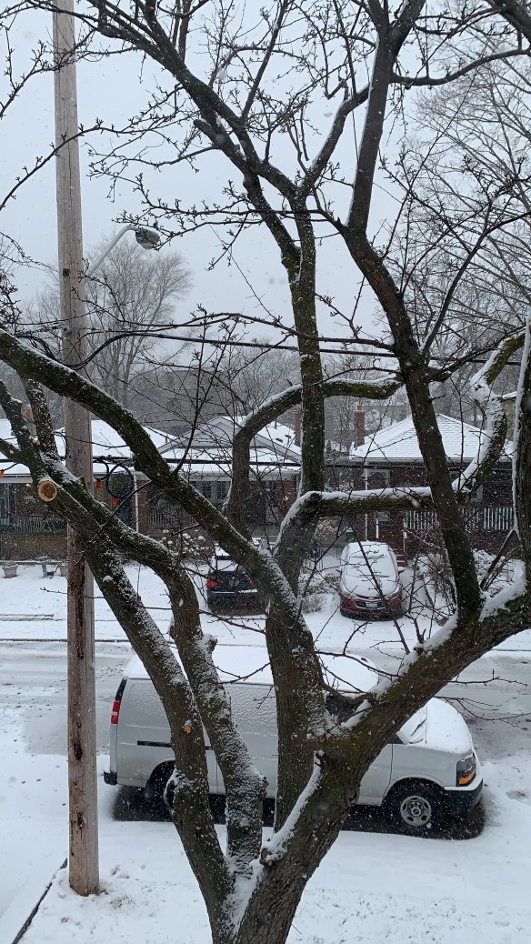 D417311C-AD84-4DDC-B1A5-4F12AD93260C