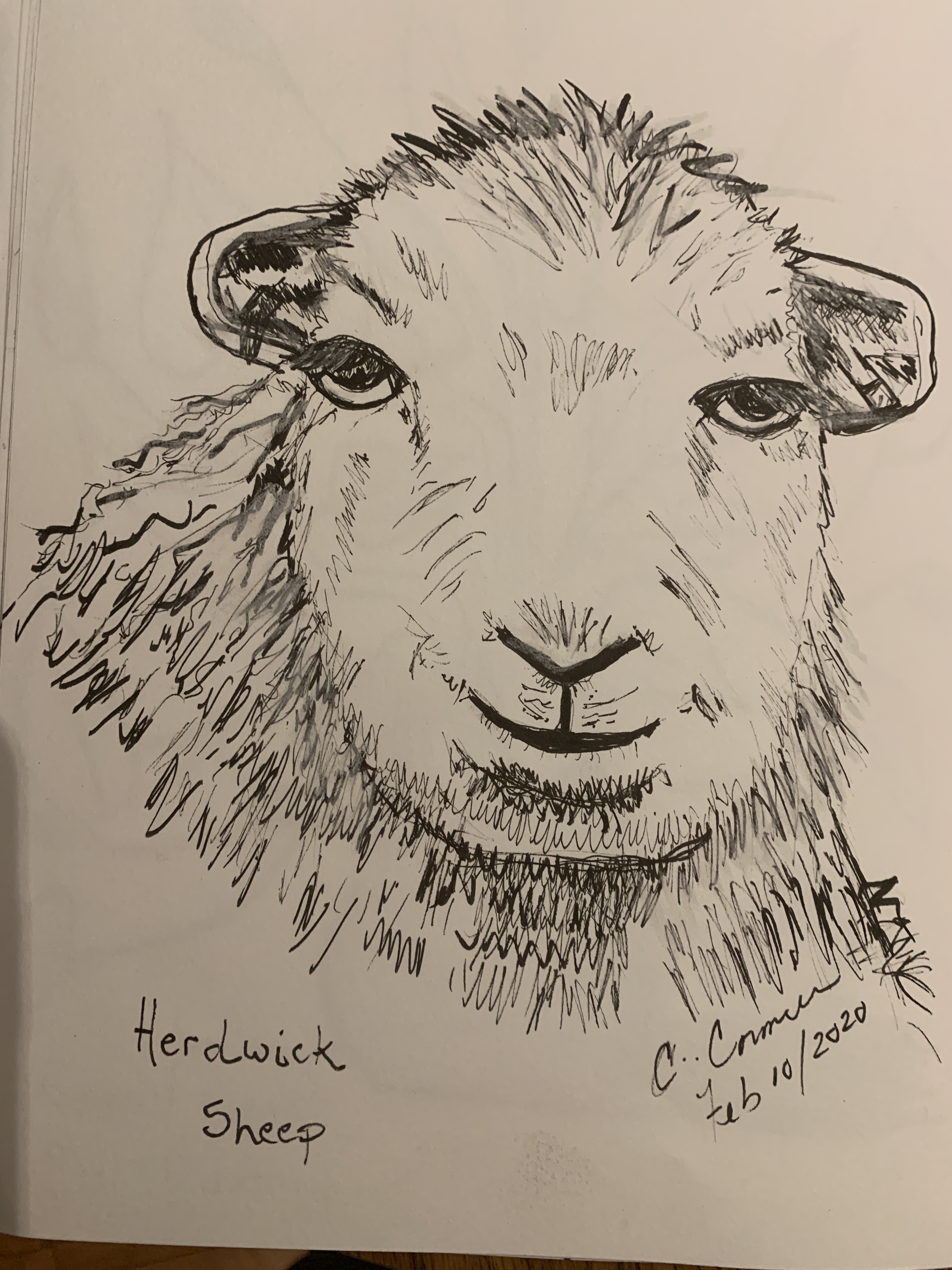 DA4622F9-D78B-4579-BA2B-1BFA25C9B86E